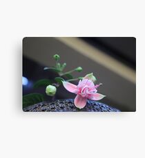 Fuschia Canvas Print