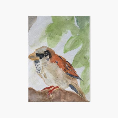 Sparrow - Image for Children, Creativity and Fun Art Board Print