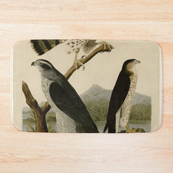 Item preview, 141 I. Goshawk 2. Stanley Hawk designed and sold by Bird-Lore.