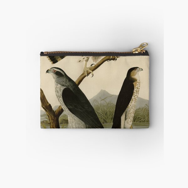 Item preview, 141 I. Goshawk 2. Stanley Hawk designed and sold by Bird-Lore.