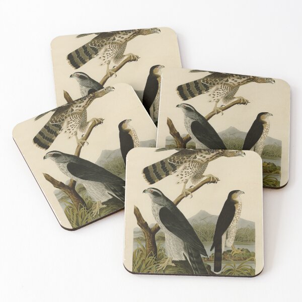 Item preview, 141 I. Goshawk 2. Stanley Hawk designed and sold by Bird-Lore.