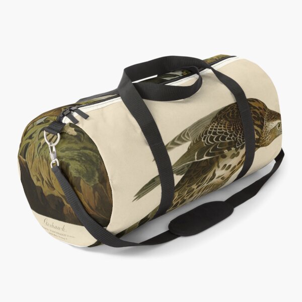 Item preview, 141 I. Goshawk 2. Stanley Hawk designed and sold by Bird-Lore.