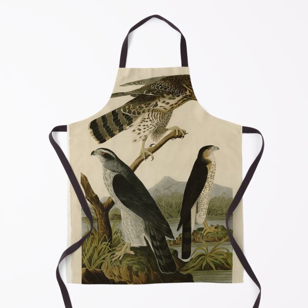 Item preview, 141 I. Goshawk 2. Stanley Hawk designed and sold by Bird-Lore.
