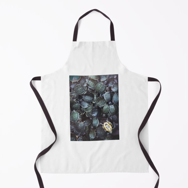 Item preview, Tortoise - belly up! designed and sold by Roz McQuillan Fine Art & Photography.