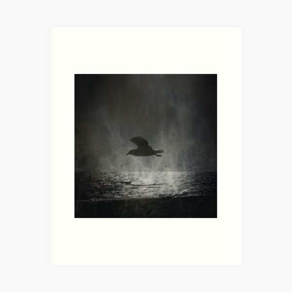 Searching for the Light Art Print