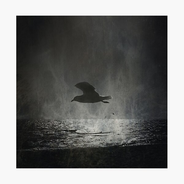 Searching for the Light Photographic Print