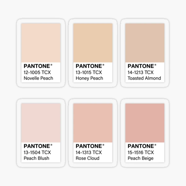 Pink Pantone Color Swatch Pack Sticker for Sale by jadeillustrates