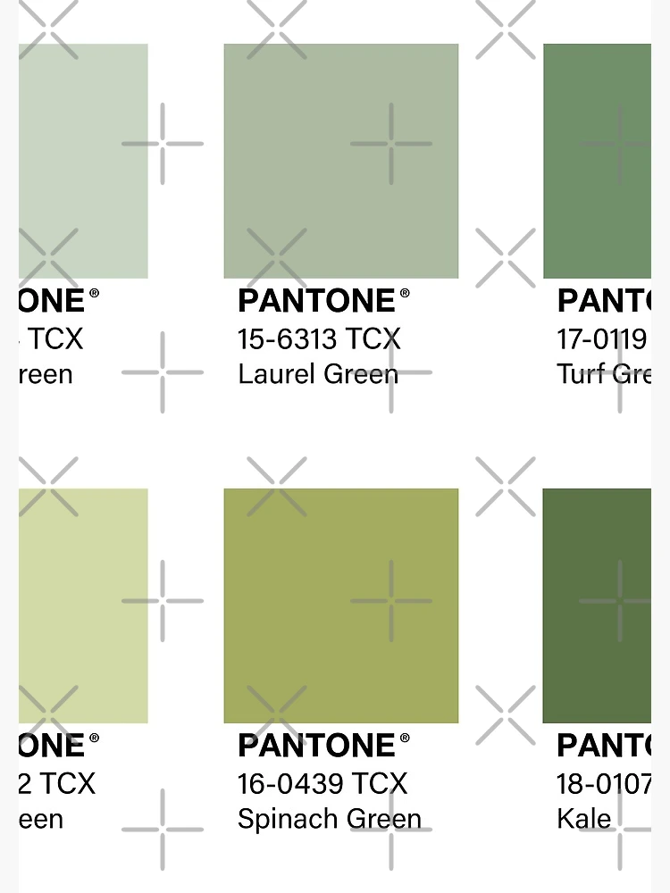 Tc solid ponderosa pine lularoe leggings  Pantone palette, Pantone green,  Pantone colour palettes