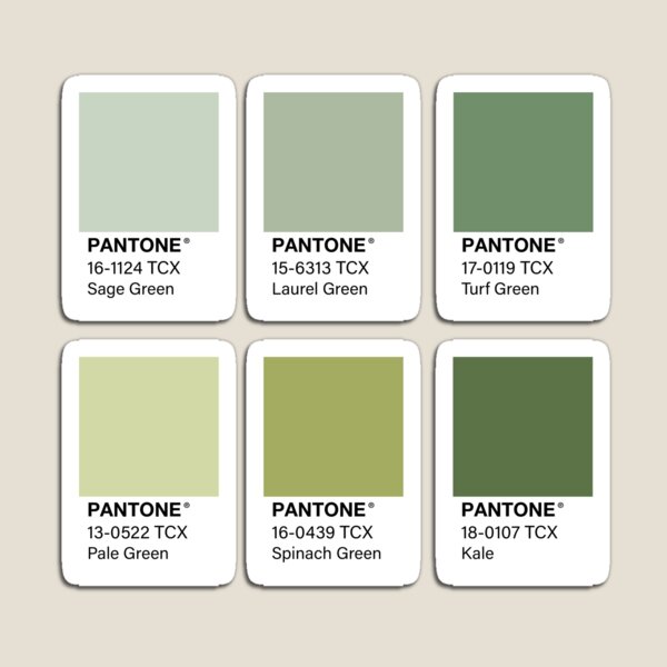 Green Pantone Color Swatch Pack Magnet