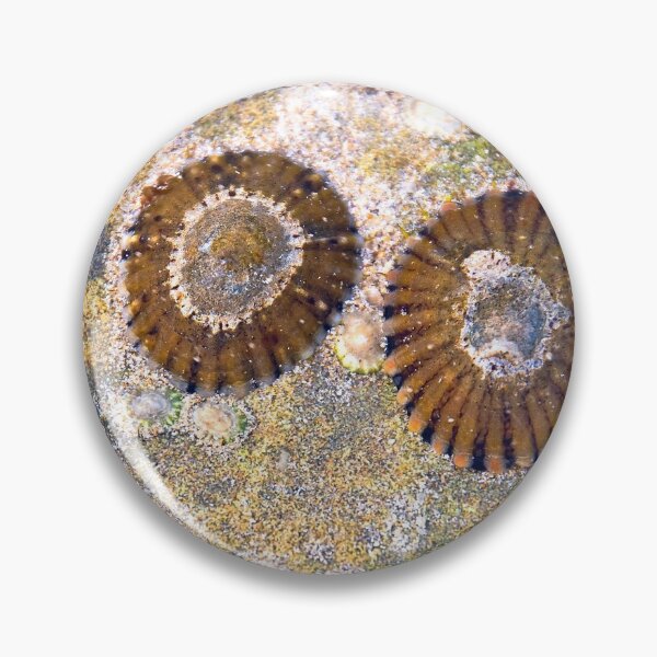 Item preview, Daily Travels,Great Ocean Road. designed and sold by Darryl Fowler.