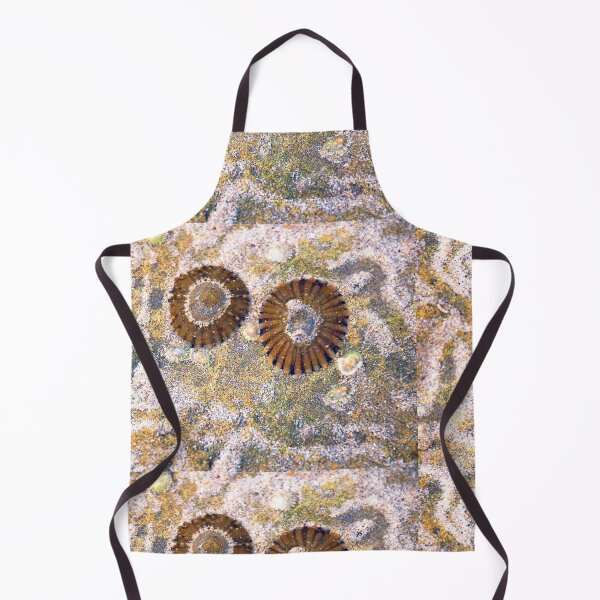 Item preview, Daily Travels,Great Ocean Road. designed and sold by Darryl Fowler.
