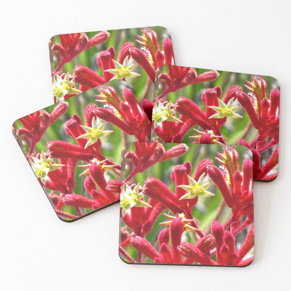 Item preview, Red Kangaroo Paw - Australian Native designed and sold by Marilyn Harris.