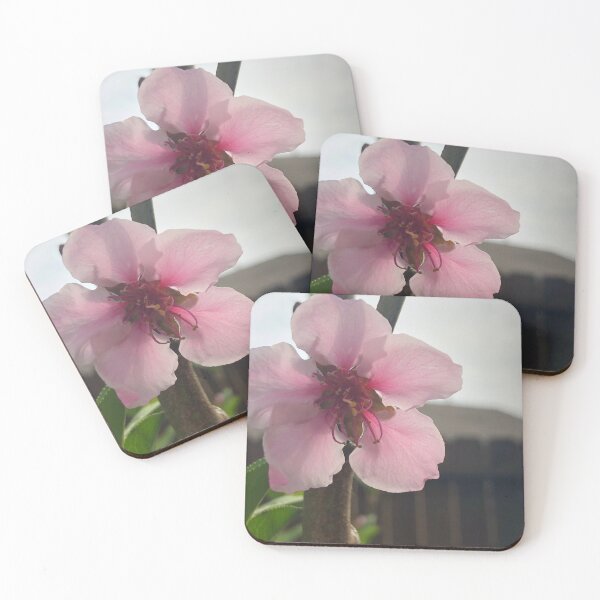 Item preview, Peach Flower designed and sold by HEhandmade.