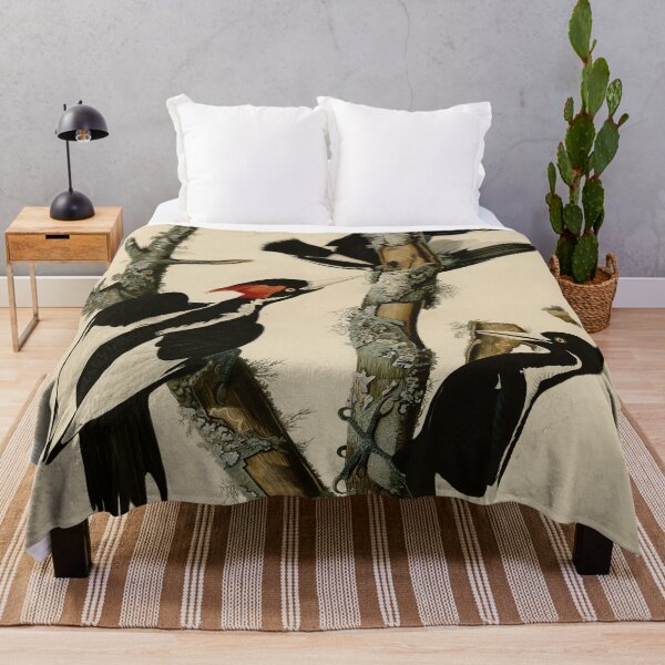 Item preview, 66 Ivory billed Woodpecker designed and sold by Bird-Lore.