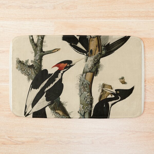 Item preview, 66 Ivory billed Woodpecker designed and sold by Bird-Lore.
