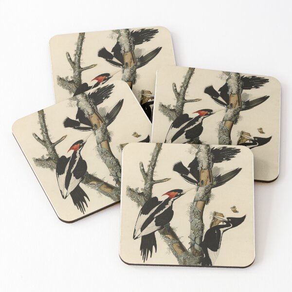 Item preview, 66 Ivory billed Woodpecker designed and sold by Bird-Lore.