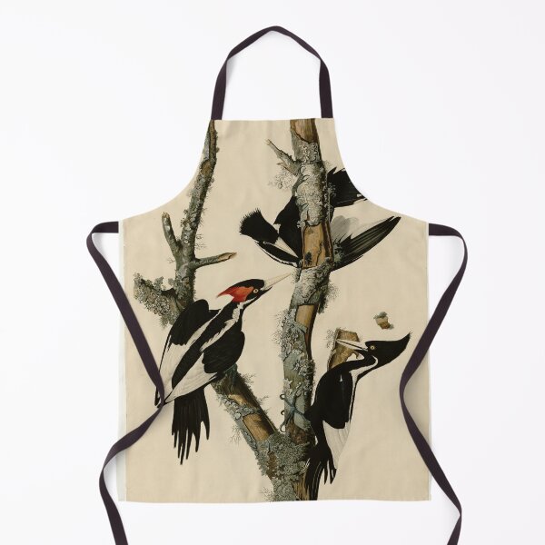 Item preview, 66 Ivory billed Woodpecker designed and sold by Bird-Lore.