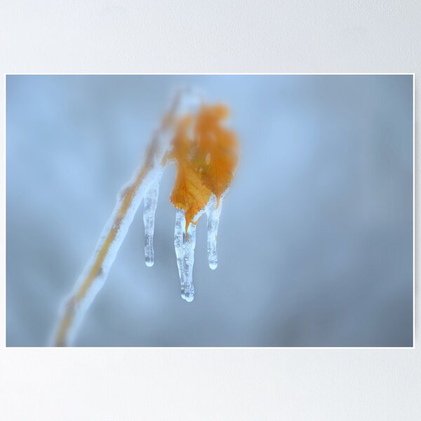 Item preview, Frozen Leaves and Icicles designed and sold by Laurie Minor.