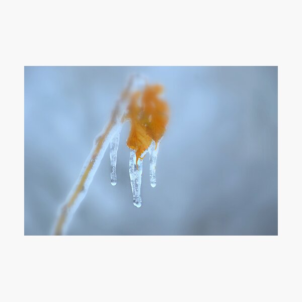 Item preview, Frozen Leaves and Icicles designed and sold by Laurie Minor.