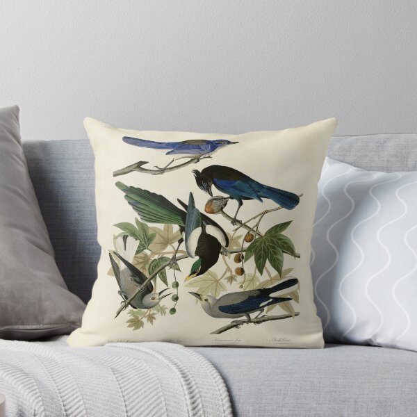 Item preview, 362 I. Yellow billed Magpie 2. Stellers Jay 3. Ultramarine Jay 4. Clark's Crow designed and sold by Bird-Lore.