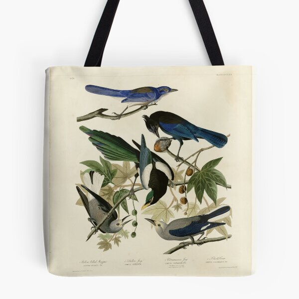 Item preview, 362 I. Yellow billed Magpie 2. Stellers Jay 3. Ultramarine Jay 4. Clark's Crow designed and sold by Bird-Lore.
