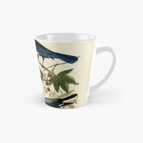 Item preview, 362 I. Yellow billed Magpie 2. Stellers Jay 3. Ultramarine Jay 4. Clark's Crow designed and sold by Bird-Lore.
