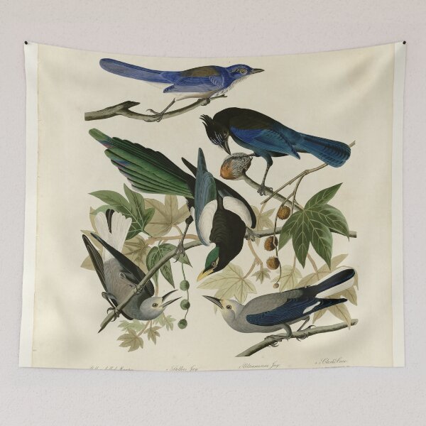 Item preview, 362 I. Yellow billed Magpie 2. Stellers Jay 3. Ultramarine Jay 4. Clark's Crow designed and sold by Bird-Lore.