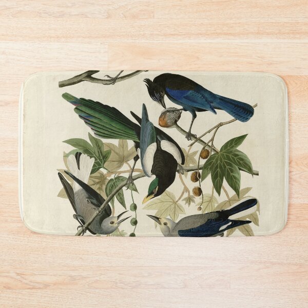 Item preview, 362 I. Yellow billed Magpie 2. Stellers Jay 3. Ultramarine Jay 4. Clark's Crow designed and sold by Bird-Lore.