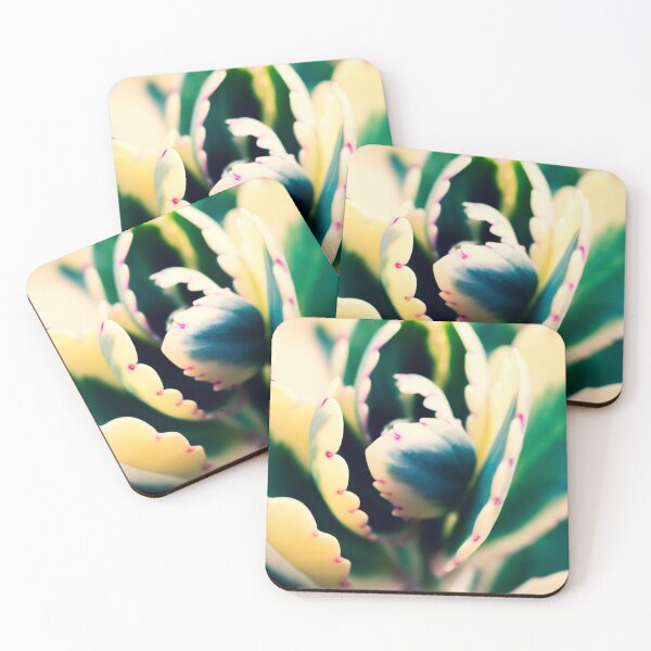 Item preview, Candy Succulent Plant With Green And Cream Leaves designed and sold by Photoluminous.