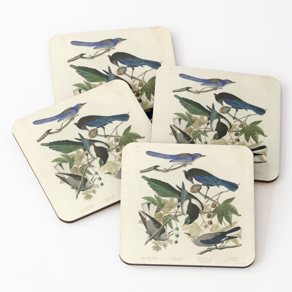 Item preview, 362 I. Yellow billed Magpie 2. Stellers Jay 3. Ultramarine Jay 4. Clark's Crow designed and sold by Bird-Lore.