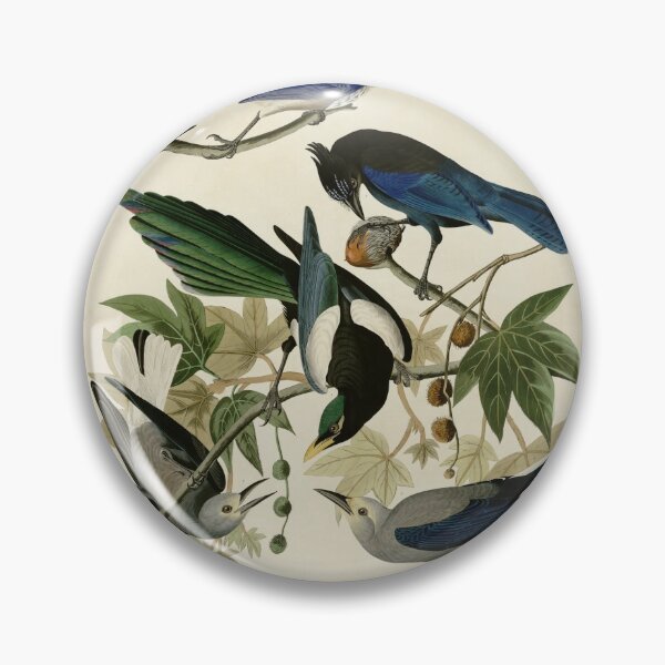 Item preview, 362 I. Yellow billed Magpie 2. Stellers Jay 3. Ultramarine Jay 4. Clark's Crow designed and sold by Bird-Lore.