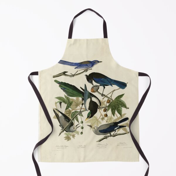 Item preview, 362 I. Yellow billed Magpie 2. Stellers Jay 3. Ultramarine Jay 4. Clark's Crow designed and sold by Bird-Lore.