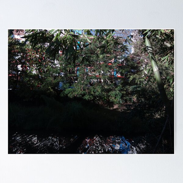 Item preview, hotel encina mirrored in the river cuale II-  ...reflejado en el rio cuale designed and sold by Bernhard Matejka.