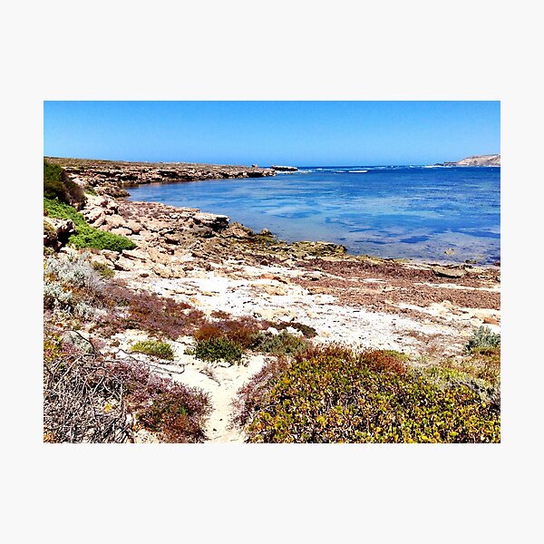 Aperçu de l'œuvre Great Australian Bight créée et vendue par Rebecca Koller.