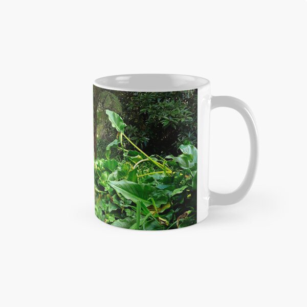 Item preview, Ferny Glade, Warburton designed and sold by Roz McQuillan Fine Art & Photography.