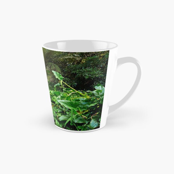 Item preview, Ferny Glade, Warburton designed and sold by Roz McQuillan Fine Art & Photography.
