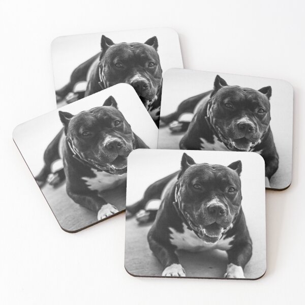Item preview, Fotografía de pitbull designed and sold by Beatific Art Dv.