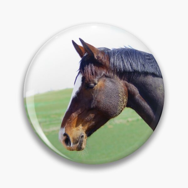 Item preview, Horse brilliance designed and sold by Treemonk.