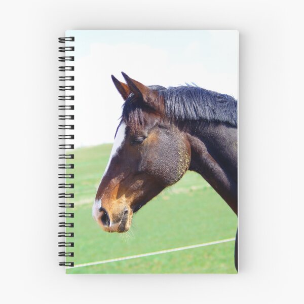 Item preview, Horse brilliance designed and sold by Treemonk.
