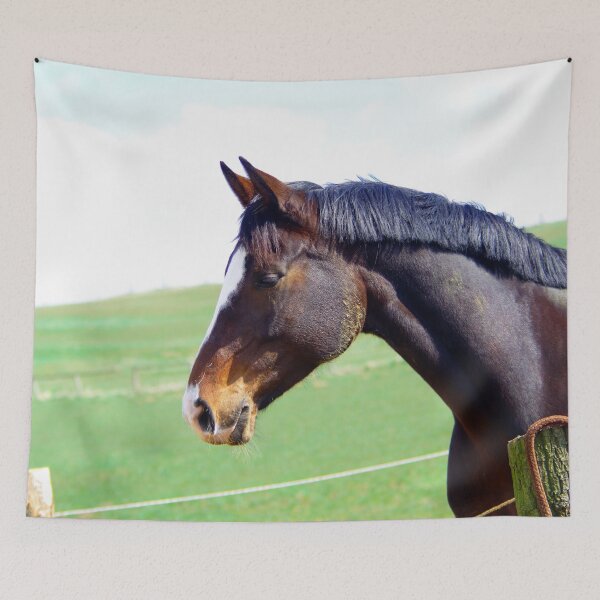 Item preview, Horse brilliance designed and sold by Treemonk.
