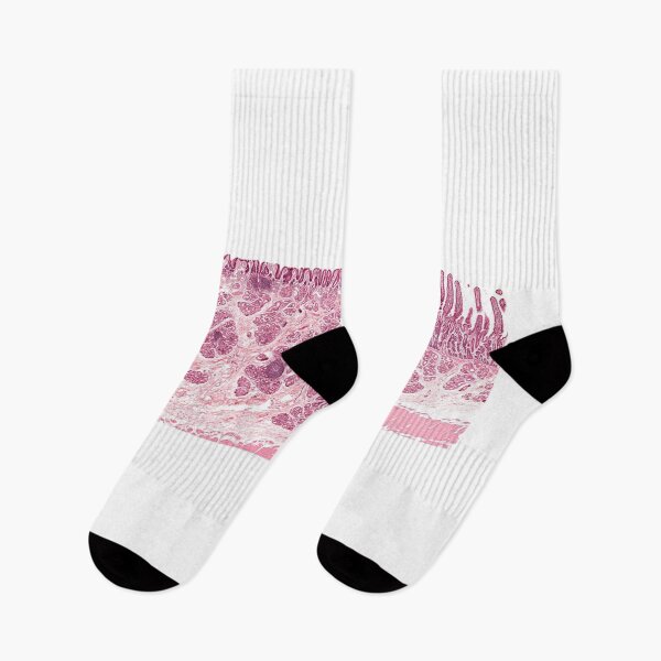 Item preview, Gastroduodenal Junction designed and sold by Love Histology.