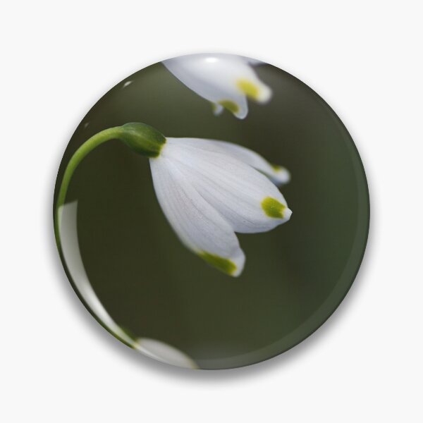 Item preview, Snowdrops Times Three designed and sold by Joy Watson - Natural Light Photography .
