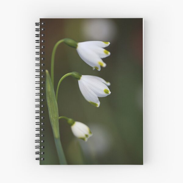 Item preview, Snowdrops Times Three designed and sold by Joy Watson - Natural Light Photography .