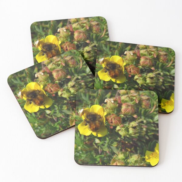 Item preview, Common Carder Bumble Bee designed and sold by wiggyofipswich.
