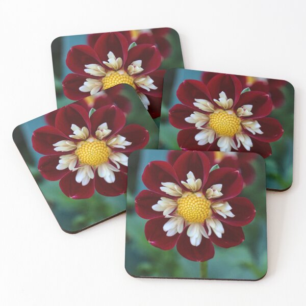 Item preview, tri colour flower designed and sold by Perggals© - Stacey Turner.