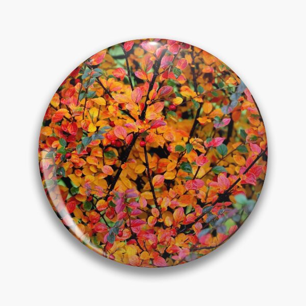 Item preview, Autumn Colours. designed and sold by prestongeorge.