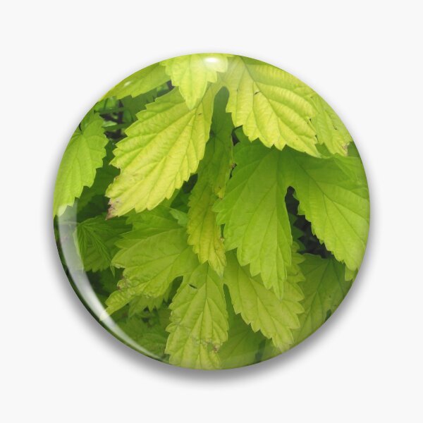 Item preview, Green Leaves designed and sold by saffervision.