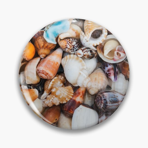 Item preview, Surf Coast Shells designed and sold by Darryl Fowler.
