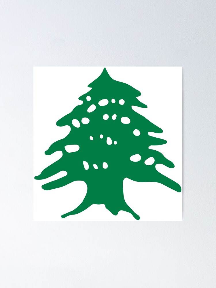 MOUNT MAR SARKIS & CEDAR TREE EHDIN LEBANON 8x12 SILVER HALIDE PHOTO PRINT 