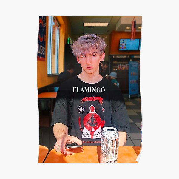 ALBERTSSTUFF FLAMINGO Poster